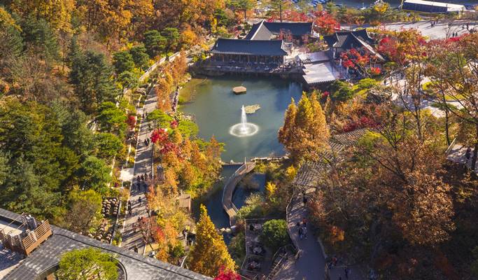 Wonju Suspension Bridge & Hwadam Botanic Garden/OOZOO Illumination Garden 1 Day Tour