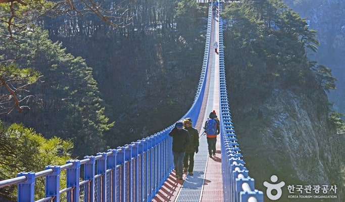 Wonju Suspension Bridge & Hwadam Botanic Garden/OOZOO Illumination Garden 1 Day Tour