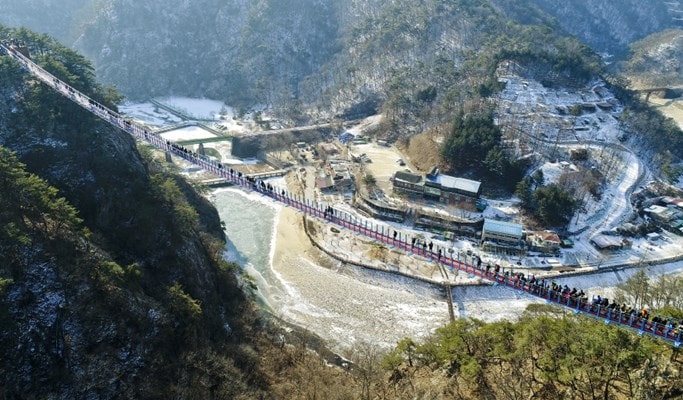 Wonju Suspension Bridge & Hwadam Botanic Garden/OOZOO Illumination Garden 1 Day Tour