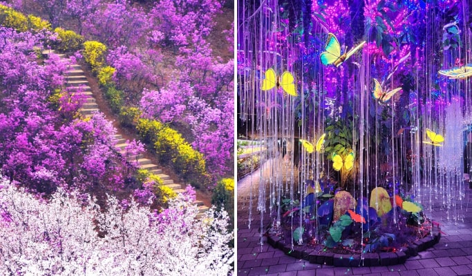 春スペシャル：富川ツツジ祭り + 光明洞窟午後ツアー - ソウル発（4月1日～10日）