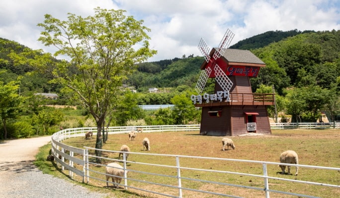 楊平牧羊場 + The Greem 植物園 + Dumulmeori 1日遊 - 首爾出發