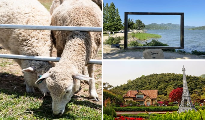楊平牧羊場 + The Greem 植物園 + Dumulmeori 1日遊 - 首爾出發