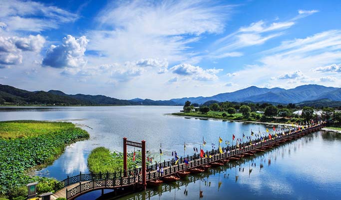 Summer Special: Yangpyeong Lotus Flower Festival + Rail Bike + IU Album Cover Photo Spot Tour (~Aug 17)