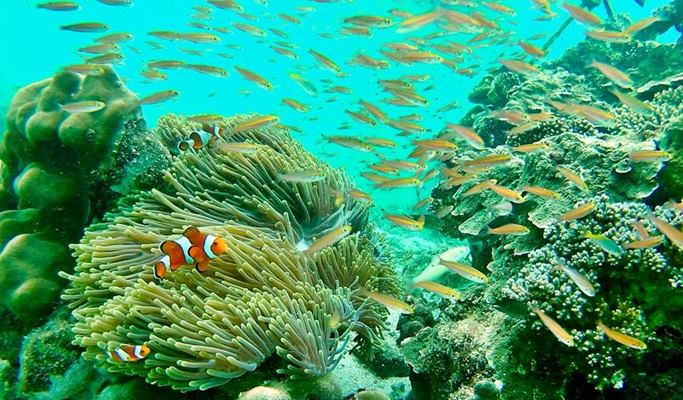 Koh Yawasam + Koh Talu + Phra Nang Beach Snorkeling 1 Day Tour by Long-tail Boat - from Krabi (Join-in/Private)