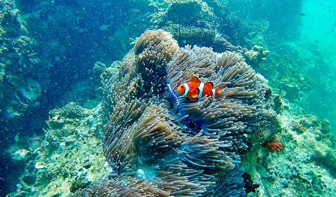 Koh Yawasam + Koh Talu + Phra Nang Beach Snorkeling 1 Day Tour by Long-tail Boat - from Krabi (Join-in/Private)