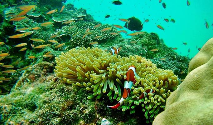 Koh Yawasam + Koh Talu + Phra Nang Beach Snorkeling 1 Day Tour by Long-tail Boat - from Krabi (Join-in/Private)