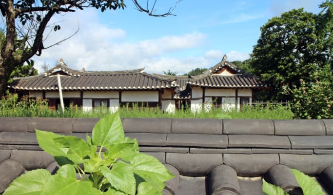 Gyeongbuk Yecheon & Samgang Jumak, Geumdangsil Village 1 Day Tour from Busan
