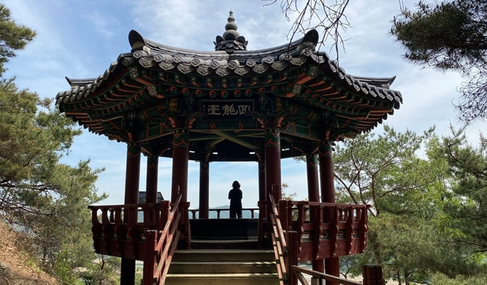 Gyeongbuk Yecheon & Samgang Jumak, Geumdangsil Village 1 Day Tour from Busan