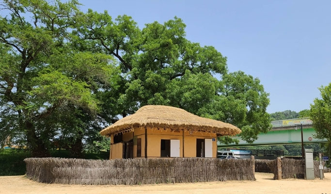 Gyeongbuk Yecheon & Samgang Jumak, Geumdangsil Village 1 Day Tour from Busan