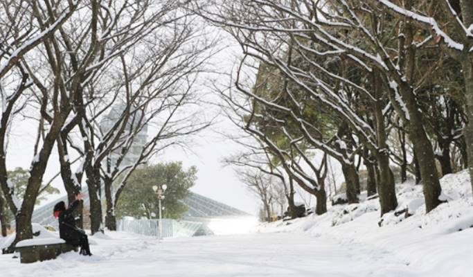 Jeju Yeomiji Botanical Garden Ticket