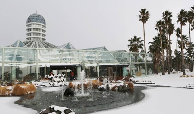 Jeju Yeomiji Botanical Garden Ticket