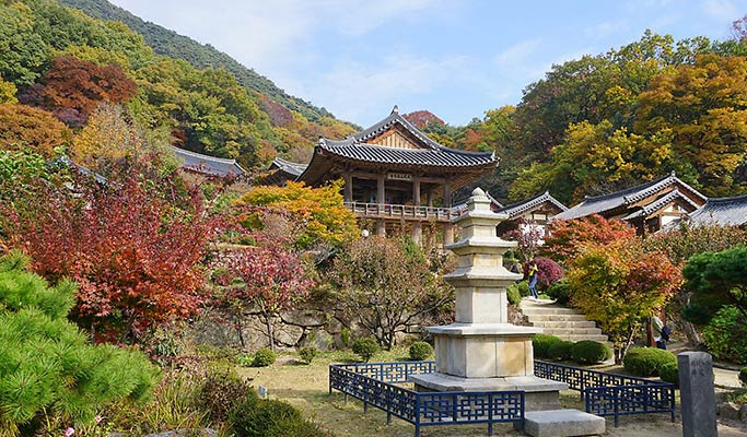 大邱慶北榮州＆Museom 村一日私人旅遊