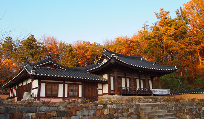 Gyeongbuk Yeongju Makgeolli Making Private Tour