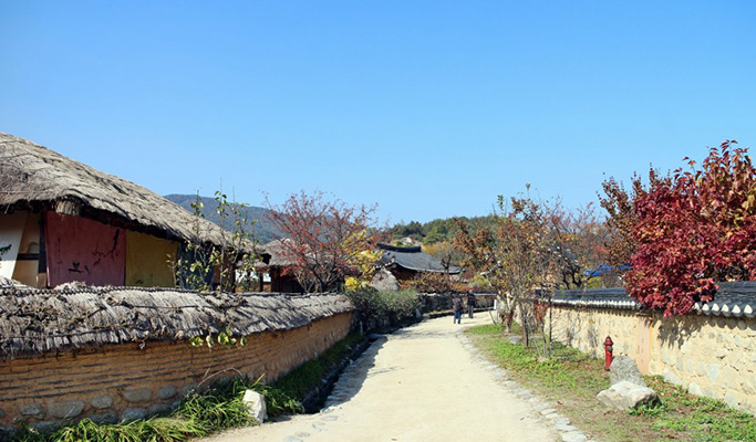 Gyeongbuk Yeongju & Museom Village Private Tour from Andong