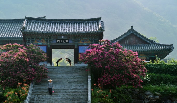 Yeongnam Alps Gondola Autumn/Fall Foliage 1 Day Tour - from Busan (Oct 30~Nov 15)