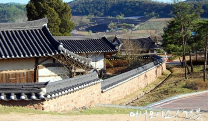 Gyeongbuk Yeongyang & Doodle Village 1 Day Tour from Busan