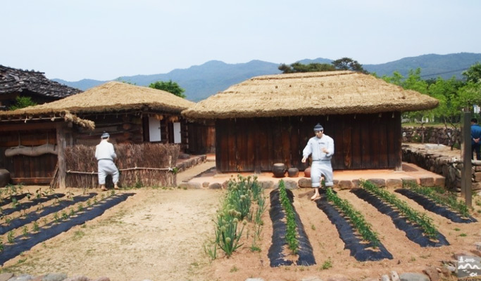 Gyeongbuk Yeongyang & Doodle Village 1 Day Tour from Busan