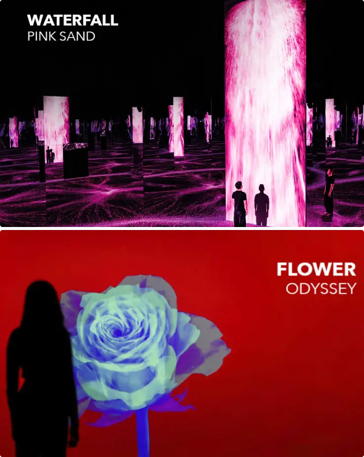 Media art installations at Yeosu Arte Museum.