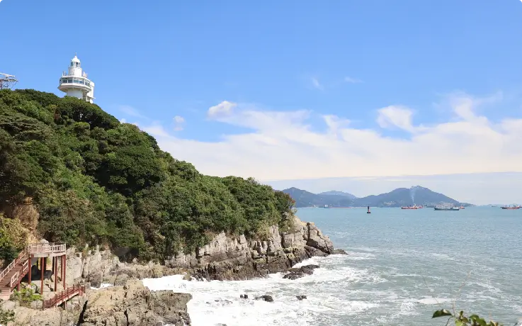 Coastal walkway and camellia trees on Odongdo Island overlooking the sea