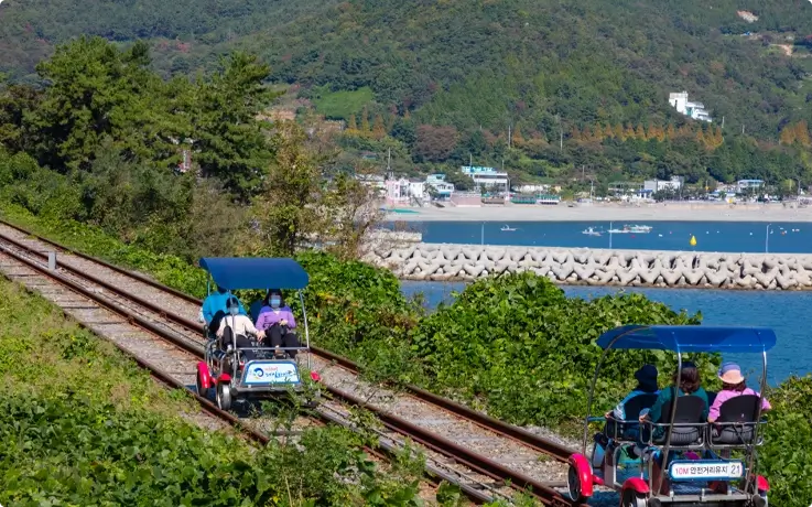 Visitors riding the Yeosu Ocean Railbike with scenic coastal views.