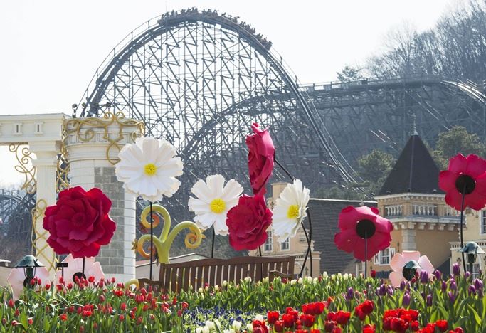 Yongin Zipline + Everland One Day Tour