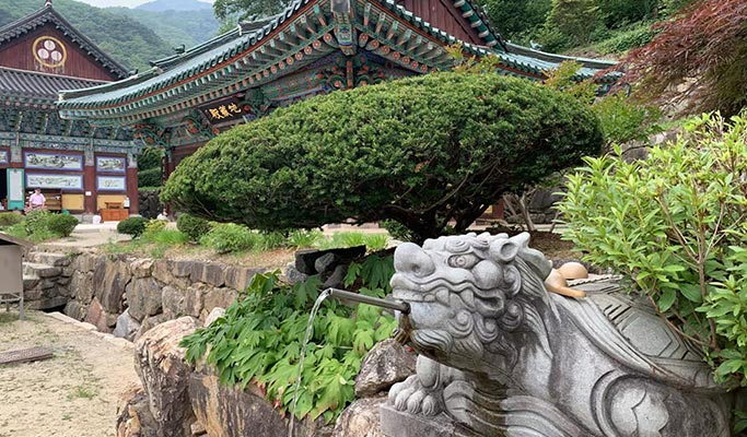 Spring Special: Yangpyeong Galsan Park + Dreamy Camera Cafe + Han River Cruise Tour from Seoul (Mar 30~Apr 16)