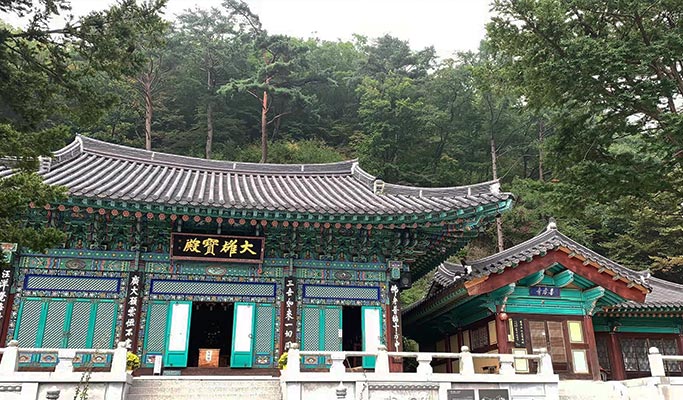 Spring Special: Yangpyeong Galsan Park + Dreamy Camera Cafe + Han River Cruise Tour from Seoul (Mar 30~Apr 16)