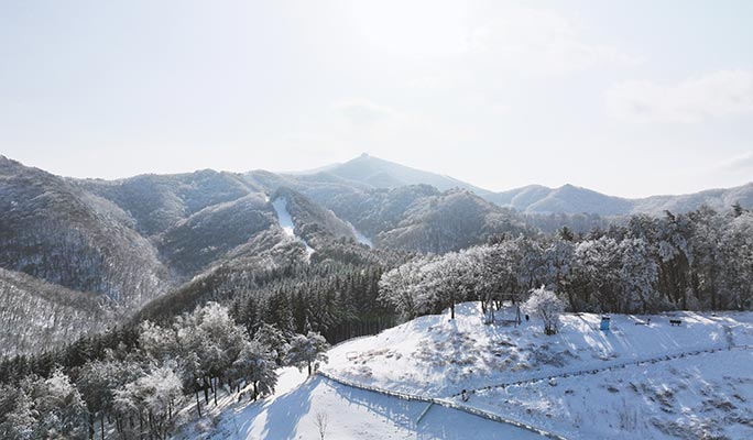 龍平滑雪場：2025趣味雙板滑雪/單板滑雪節4天3夜之旅（3月8~11日）