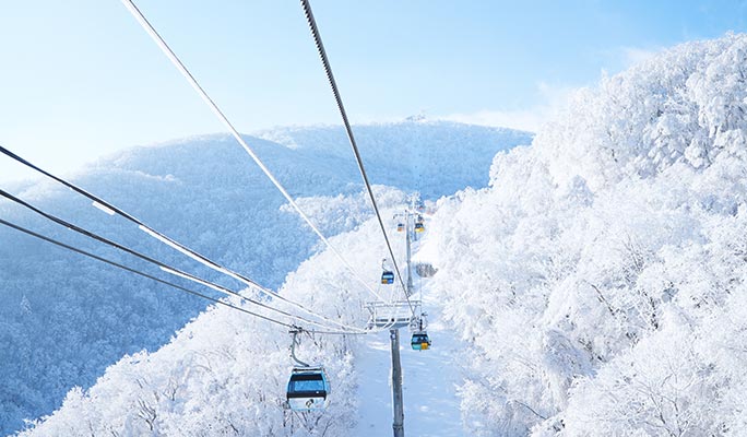 龍平滑雪度假村：兩天一夜雙板/單板滑雪之旅