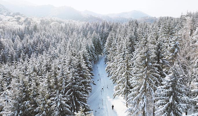 龍平滑雪度假村：兩天一夜雙板/單板滑雪之旅