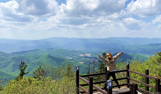 Mountain Coaster + Luge + Cable Car in Yongpyong Resort Shuttle Bus Package (~Nov)