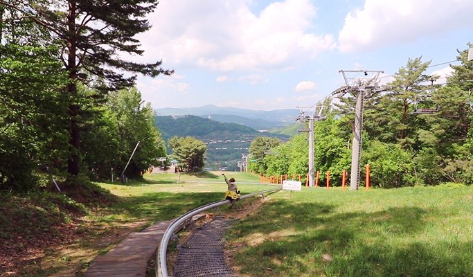 Mountain Coaster + Luge + Cable Car in Yongpyong Resort Shuttle Bus Package (~Nov)