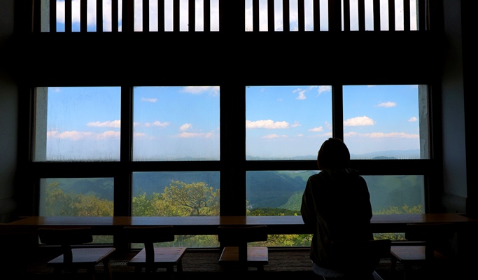 Mountain Coaster + Luge + Cable Car in Yongpyong Resort Shuttle Bus Package (~Nov)