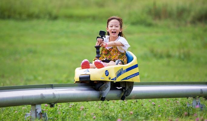 Mountain Coaster + Luge + Cable Car in Yongpyong Resort Shuttle Bus Package (~Nov)