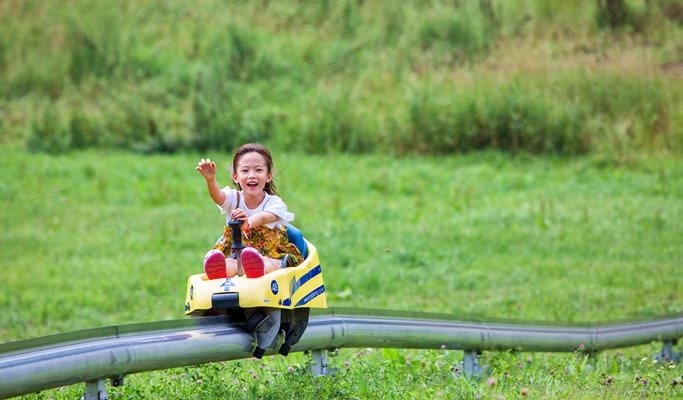Mountain Coaster + Luge + Cable Car in Yongpyong Resort Shuttle Bus Package (~Nov)