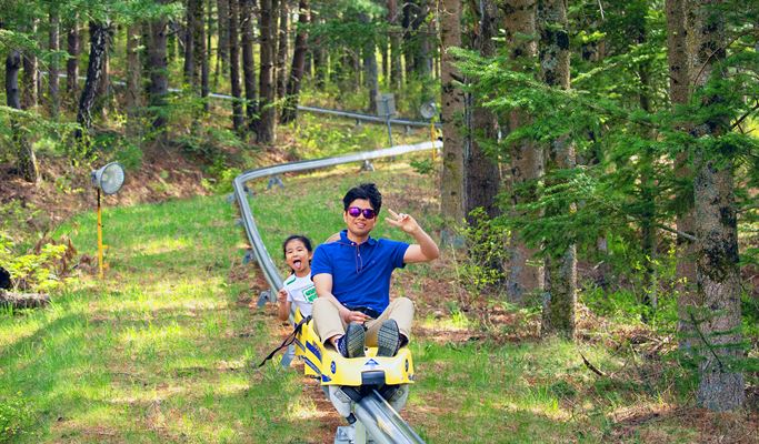 Mountain Coaster + Luge + Cable Car in Yongpyong Resort Shuttle Bus Package (~Nov)