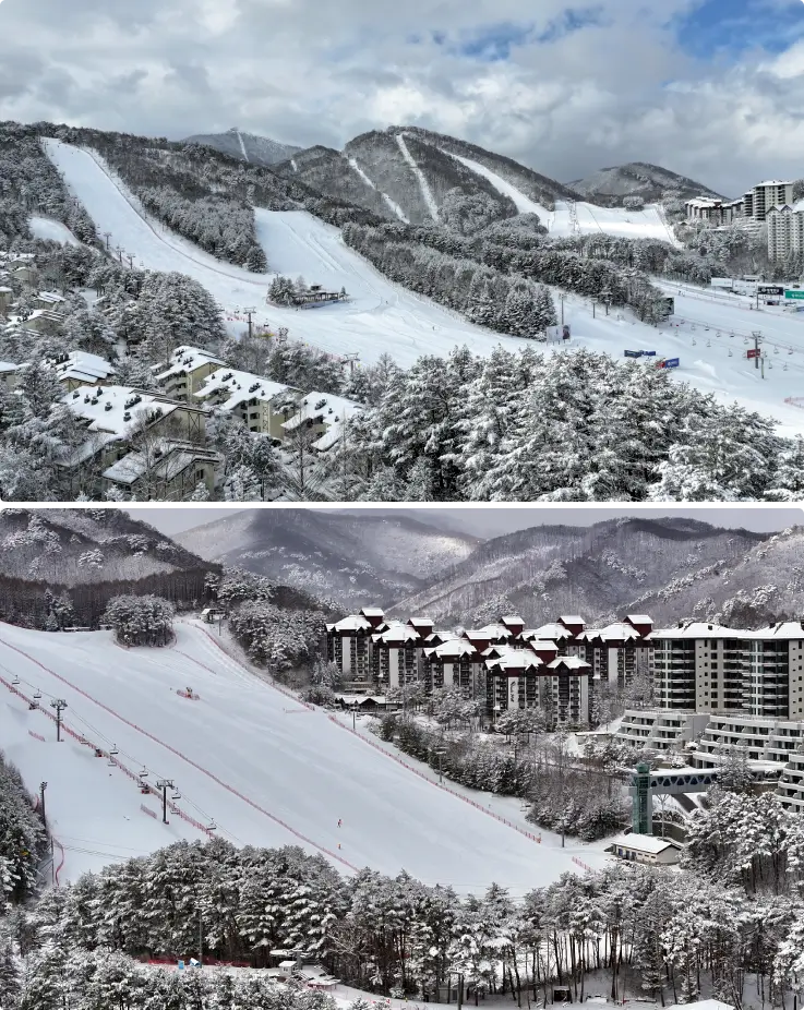 Wide panoramic view of Yongpyong Resorts multiple ski slopes covered in snow.