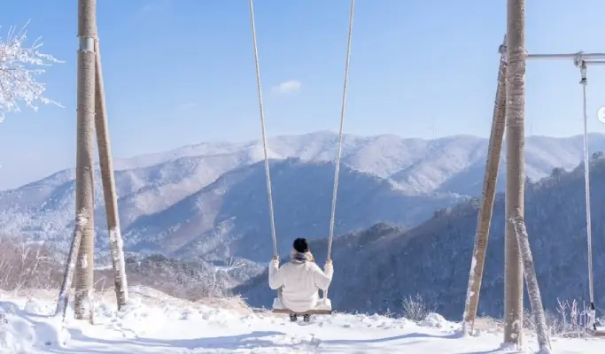 Yongpyong Ski Resort Ani-Fore (Animal Forest): Monorail + Alpaca Farm + Spruce Healing Forest Discount Ticket