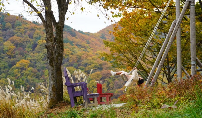 Yongpyong Ski Resort Ani-Fore (Animal Forest): Monorail + Alpaca Farm + Spruce Healing Forest Discount Ticket