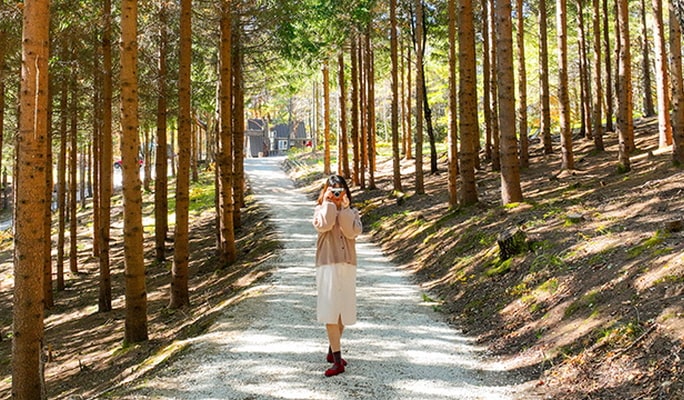 Yongpyong Ski Resort Ani-Fore (Animal Forest): Monorail + Alpaca Farm + Spruce Healing Forest Discount Ticket