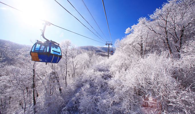 雙板滑雪/單板滑雪一日遊：龍平滑雪場（+ 發王山纜車選項）