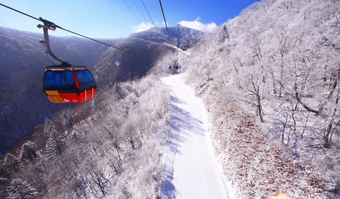 雙板滑雪/單板滑雪一日遊：龍平滑雪場（+ 發王山纜車選項）