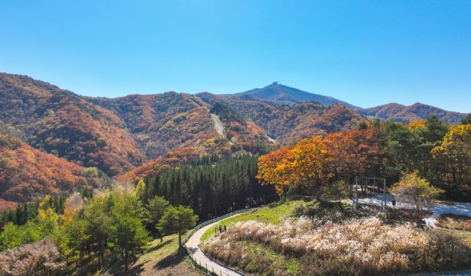 Yongpyong Resort Room & Balwangsan Cable Car Package (Spring/Summer/Fall)