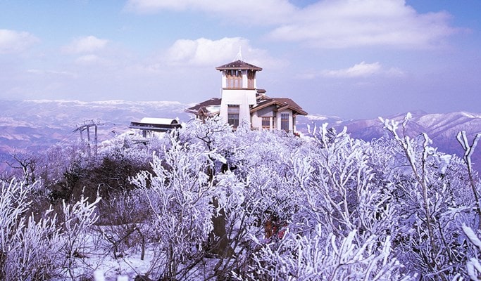 1 Day/2D1N Gangneung Tour with Lee Dong-Wook (Mar 13)