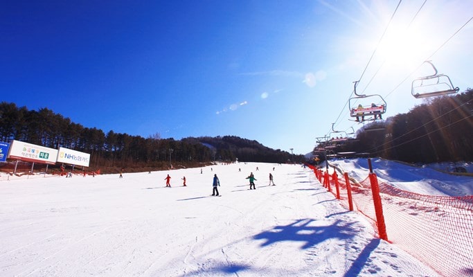 Yongpyong Ski Resort One Day Tour Winter Sports Games Trazy Korea