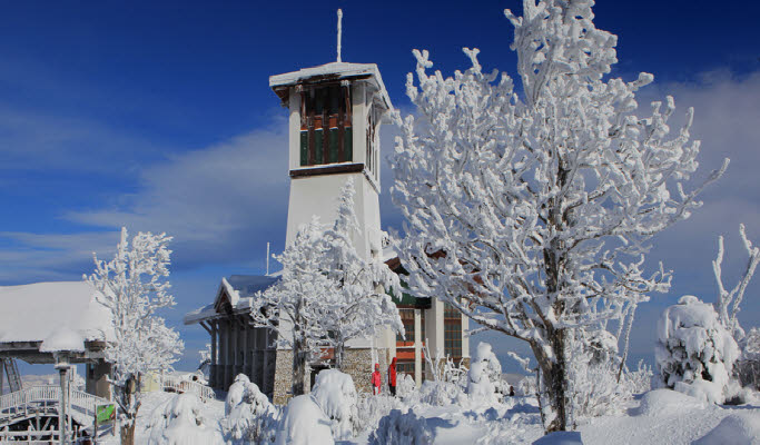 Major Ski Resort Private Transfer (from/to Busan/Daegu & Vivaldi/Yongpyong/Alpensia/High1/Phoenix Ski Resort) 24/7