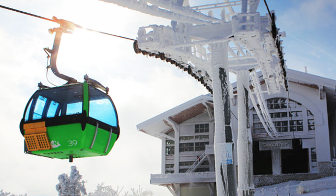 [Flash Sale] Yongpyong Ski Resort & Balwangsan Cable Car Package (Dec 23~Jan 4)