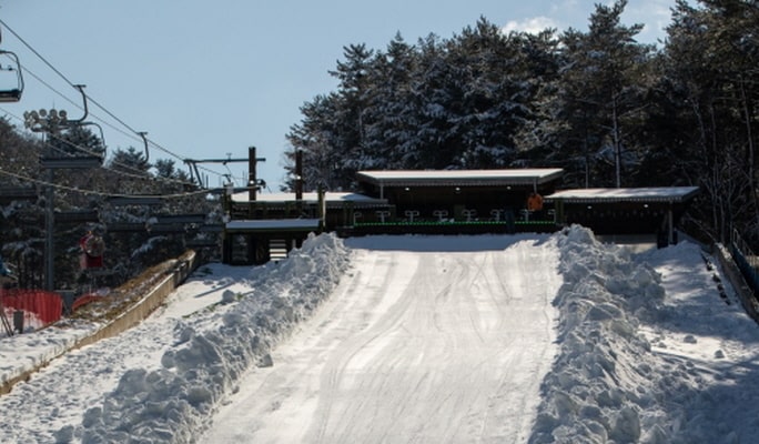 雪橇通行證：龍平滑雪場