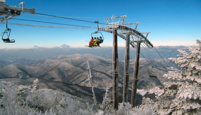 Major Ski Resort Private Transfer (from/to Busan/Daegu & Vivaldi/Yongpyong/Alpensia/High1/Phoenix Ski Resort) 24/7