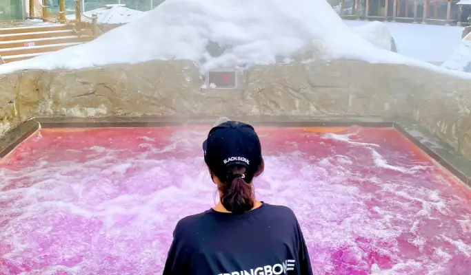 Yongpyong Water Park (Peak Island) Discount Ticket